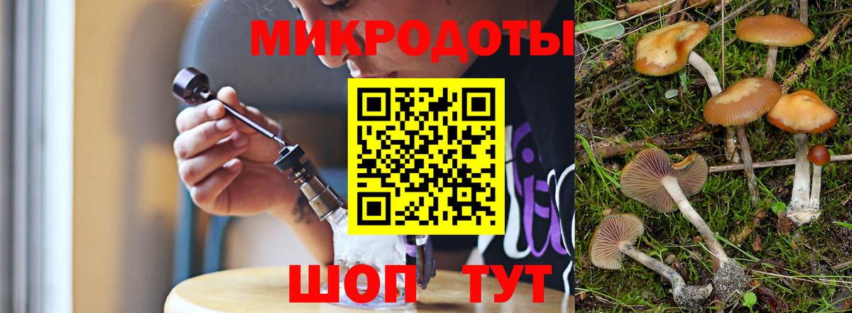 Галлюциногенные грибы прущие грибы Лангепас